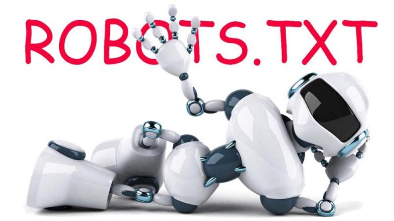 Что такое robots.txt и зачем он нужен в Твери